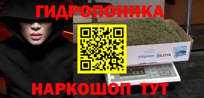 мдпв Рузаевка