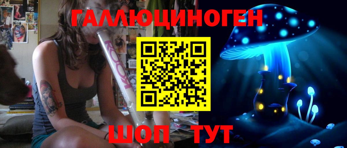 Павлово  Псилоцибиновые грибы Psilocybine cubensis  Вход с VPN 